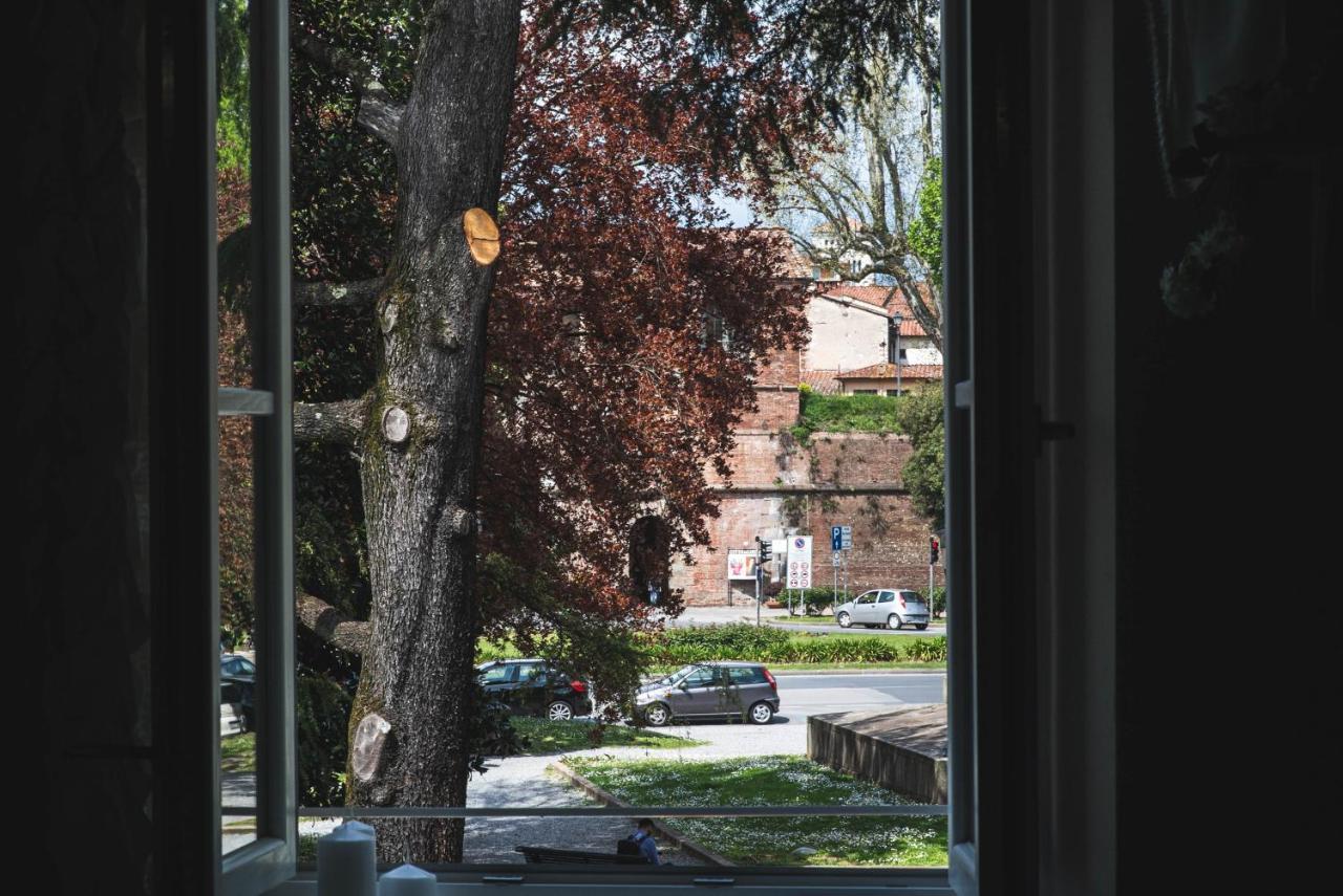 Belvedere Luxury Apartment, View On The Lucca Walls Εξωτερικό φωτογραφία